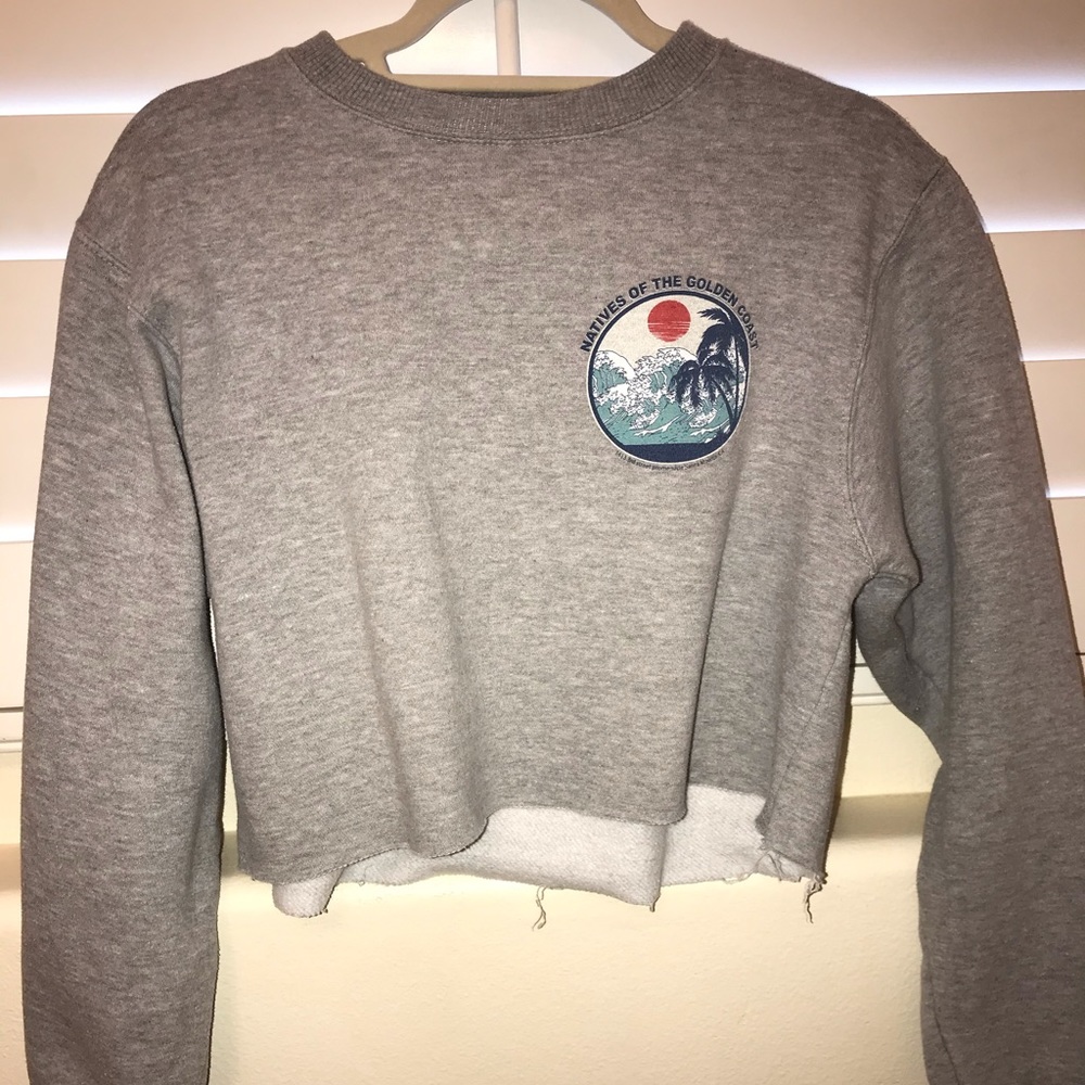 Brandy Melville gray cropped sweatshirt